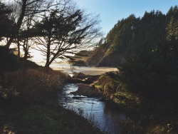 automaticallyoutstanding:  Indian Beach, Oregon 