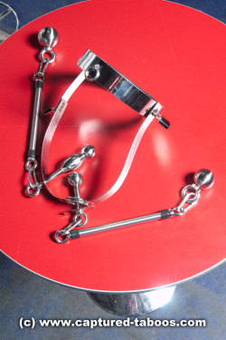 coldlatexbitch:  fuckiamsexedout:  Kinky Sextoys - Steel Belt