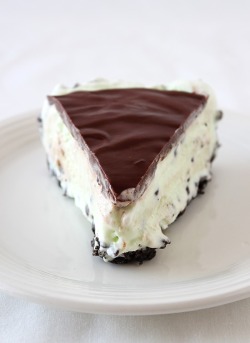 do-not-touch-my-food:  Mint Chocolate Chip Ice Cream Pie  fucking