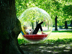 bookmania:  A transparent bubble you can read in! It’s a