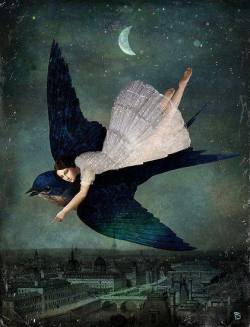 colin-vian:    Fly me to paris by Christian Schloe 