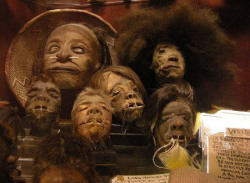 odditiesoflife:  The Gruesome History of Shrunken Heads The ancient