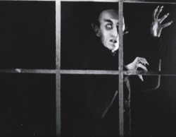 brundleflyforawhiteguy:  Nosferatu (1922) 