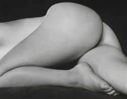 last-picture-show:Edward Weston, Nude, 1934