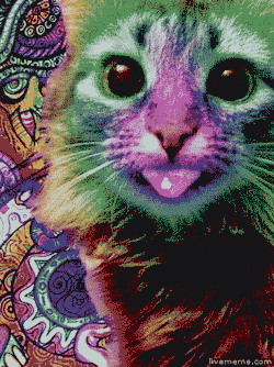 suburbanraver:  ʍoǝɯ ʍoǝɯ   Woahhh