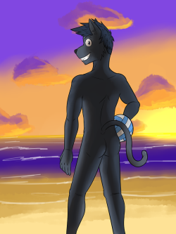 Volleyball kitty guy on the beach