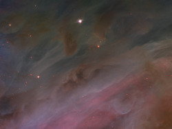 spaceexp: Gas pillars inside the Orion Nebula 