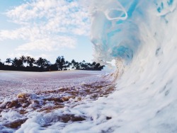 colebeal:  Oahu at its finest \ 