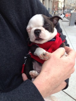 awwww-cute:  Too tired to enjoy her first day out in the city