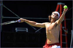 celebpits:  do you like David Ferrer?Sure, thanks! :)