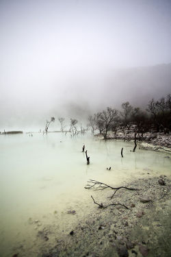 pleoros: White Crater, Bandung. Kawah Putih Kawah Putih lake