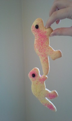 implyingyoucare:  These two dino cookies came out stuck together