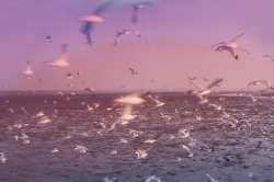 leslieseuffert:   L I　H U I  | Tumblr 