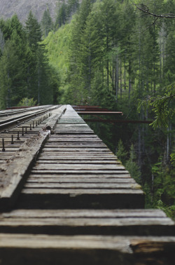 millivedderphotography:  Vance Creek Bridge, SheltonFlickr|Facebook|Tumblr