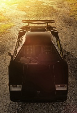 kvrrent:  Lamborghini Countach  I had like 10 posters of this