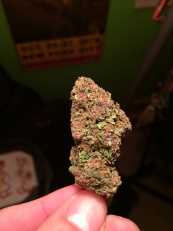 psychedelic-blues:  The bud me and my girlfriend have been getting