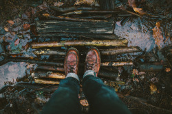 liftly:  vintage / nature/ photography blog