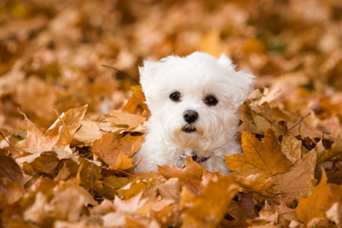 Autumn adventures