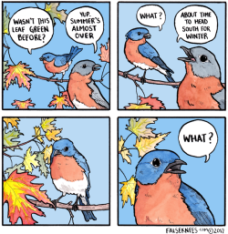 falseknees: I feel like you’re ignoring my question about this