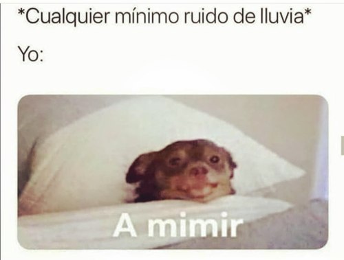 Mimir  https://www.instagram.com/p/CHWisIAr_xc/?igshid=1bdyerlu7pj7f