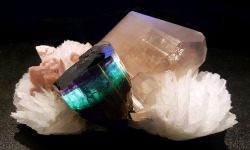 bijoux-et-mineraux:  Purple-capped Elbaite on Quartz with Cleavelandite