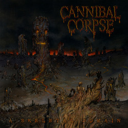 merciless-tide:  New Cannibal Corpse album - A Skeletal Domain