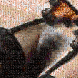 A puzzle made from thousands of photos of Yana and her tempting