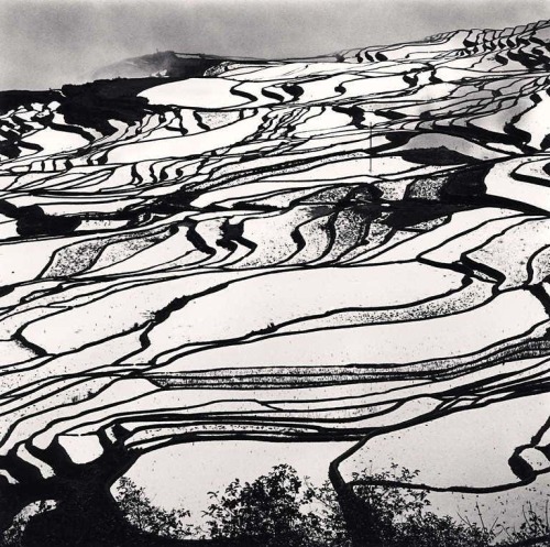 joeinct:Yuanyang Study 2, Yunnan, China, Photo by Michael Kenna,