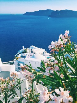 jamesalleninparis: Santorini is so unreal 
