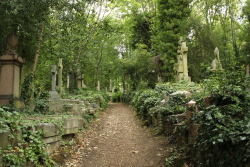 they-hide-in-the-dark:  Highgate Cemetery -  Home of the Highgate