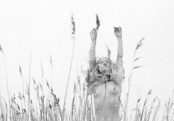 behold-photography:  http://cargocollective.com/patricijastepanovic