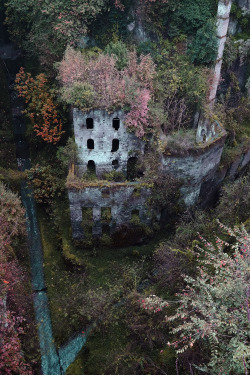 scavengedluxury:  The Valley of the Mills. Sorrento, November