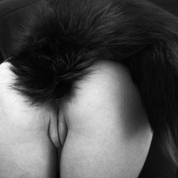 scarlet-musings:poeticsir:  Fucking love the tail  Don’t I