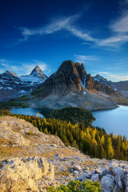 intothegreatunknown:  Mount Assiniboine from Niblet | Canada