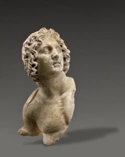 theancientwayoflife:  ~ Alexander the Great. Place of origin: Africa