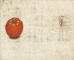 hipinuff:Jim Dine (American, b. 1935), The Tomato, 1973. Etching