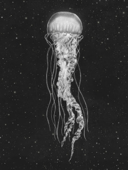 1000drawings:  Space Jelly by Terry Fan