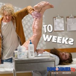 dumbtomovie:  In to weeks, dumb hits the fan! Don’t miss Dumb