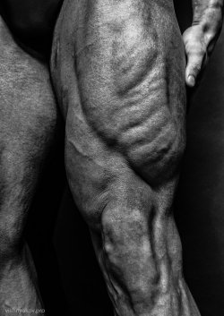 vishnyakovpro:  Supreme by vishstudio 