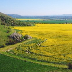 Spent the day driving around the English countryside. This photo