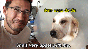 dogiplier:  Chica   ThoughtsSee more C T here!