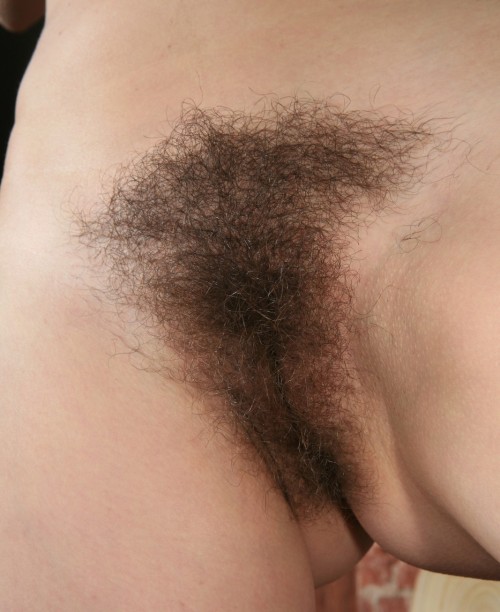 hairypussypics.tumblr.com/post/117949615128/