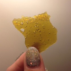 coralreefer420:  Hawaiian shatter from @chameleonextracts.