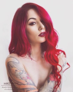 cervena-fox-appreciation:Cervena Fox