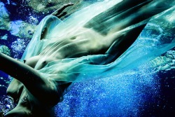 nevver:  Breathing underwater, Hugh Arnold