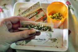 smokingweed:Rolling those fat joints (: