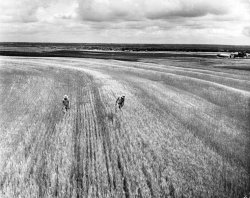 k-a-t-i-e-:  Oklahoma, 1942 Alfred Eisenstaedt 