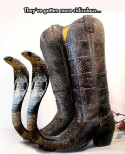 advice-animal:  There Are Snakes In My Boots!http://advice-animal.tumblr.com/