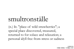 iamaustraliankiss:  other-wordly:  pronunciation | “smUl-tron-‘stel-e