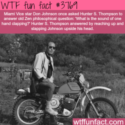 wtf-fun-factss:  What is the sound of one hand clapping?  -